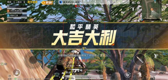 和平精英是有多少外挂（和平精英有多少各种外挂）